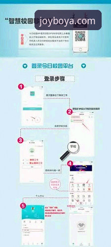 博亚官方注册入口详解：技术评测与实操指南